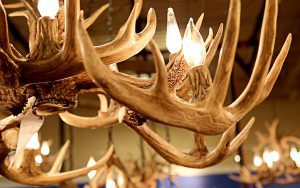 A close up of some antler chandeliers